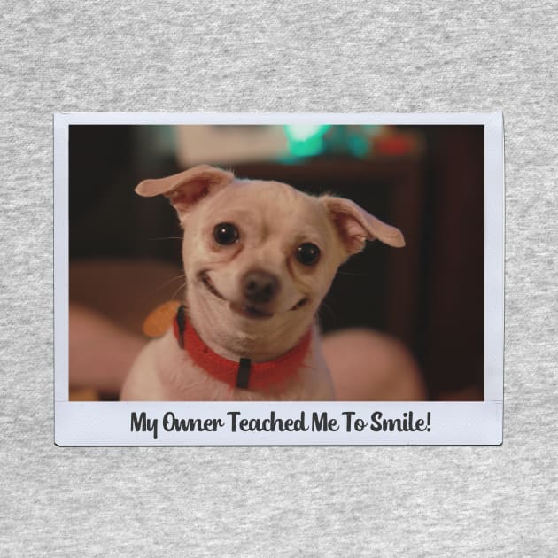 Dog Caught Smiling {The Unwritten Photo} - When You Learn, You Surely Know Something! Puppies, Dogs, You Name It, They're Good. This One Doesn't Really Pant Though... Hey What If It's A Smirk? Cheese For The Camera! (What Polaroid Even Makes This Shape?) by abstracted